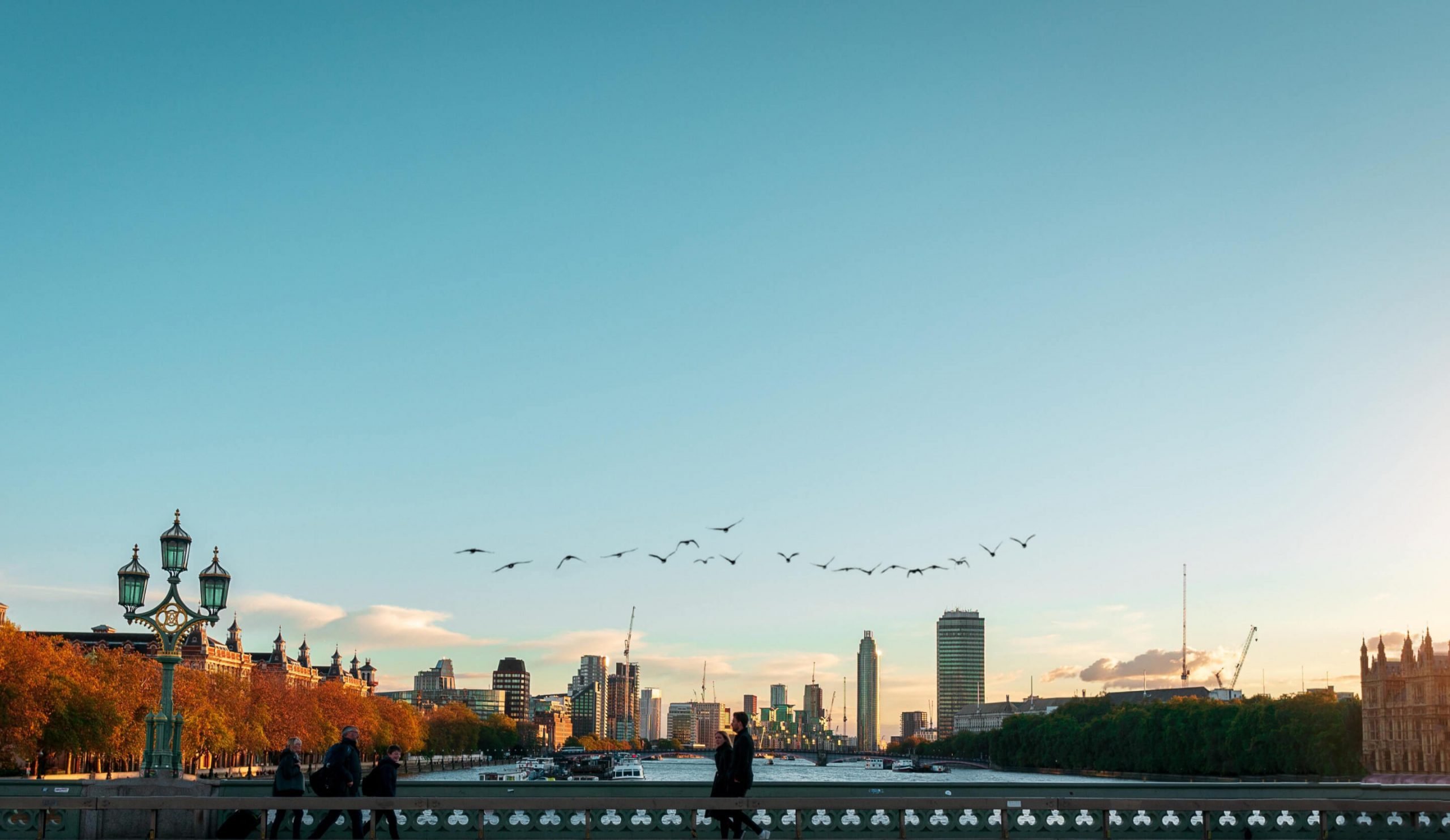 Image of a flock of birds flying over the river Thames in London